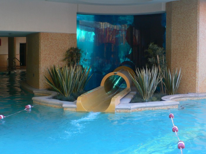 golden nugget free swimming pool shark